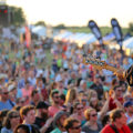 Navigating the Music Festival Scene in North Central Texas: A Guide from an Expert